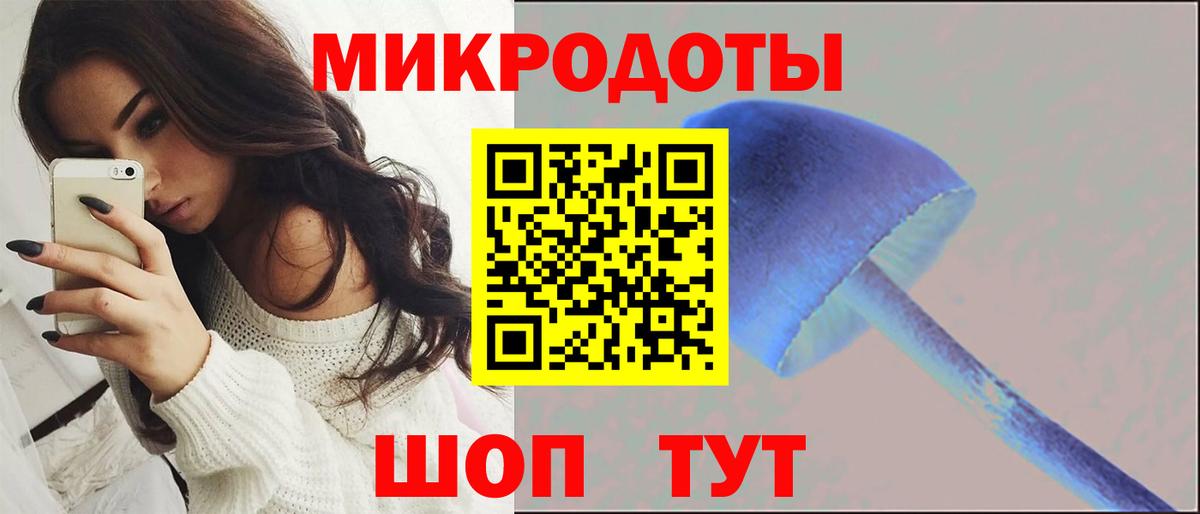 Галлюциногенные грибы Psilocybine cubensis Заинск