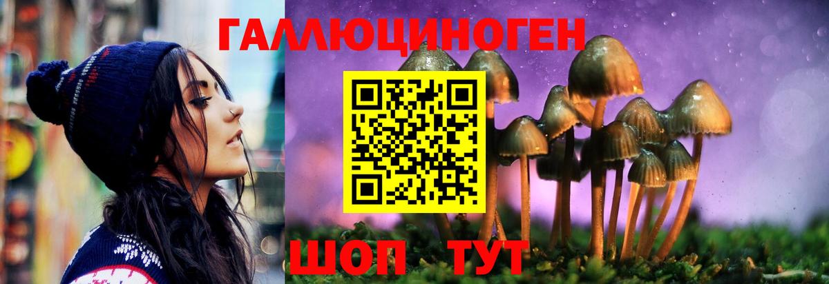 Заинск  Псилоцибиновые грибы ЛСД  Вход с VPN 